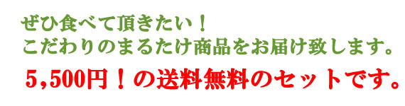 まるたけ蒟蒻　味わいセット